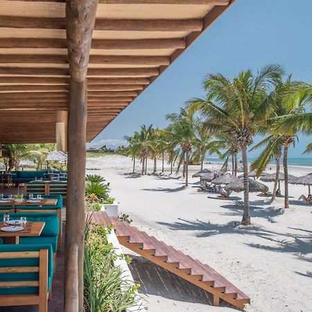 Vila Selvagem Hotel Contemporaneo فورتيم المظهر الخارجي الصورة